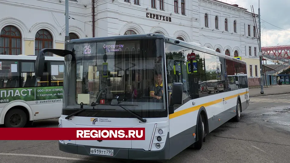 Фото: Александр Степушкин