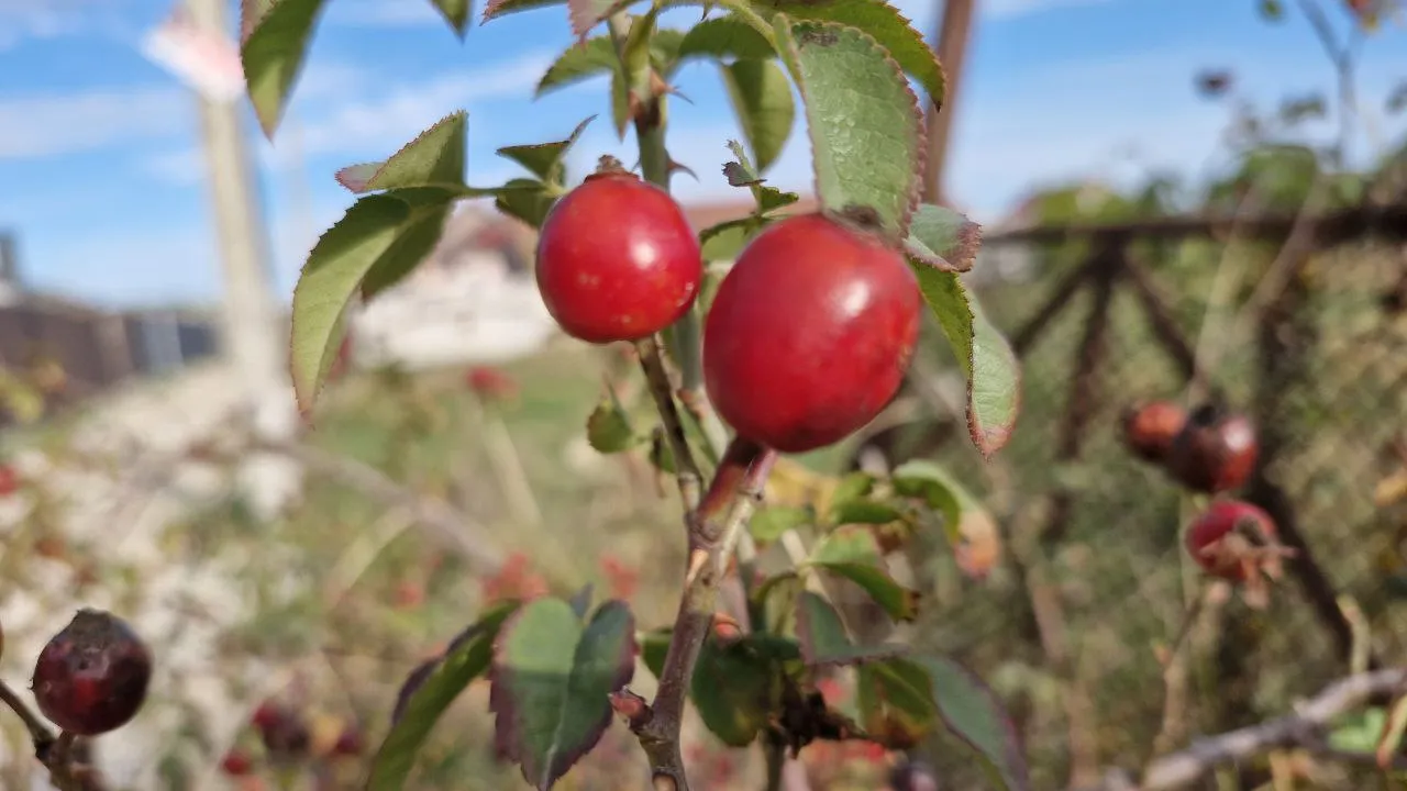 Фото: REGIONS/Наталия Надточая