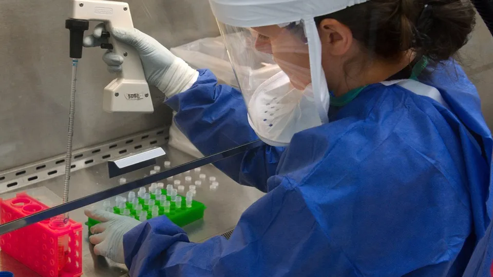 Фото: pxhere.com