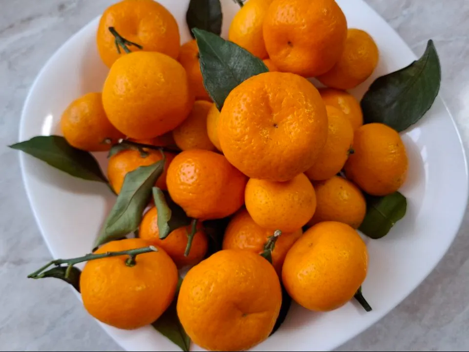 Фото: REGIONS/Юлия Габбасова