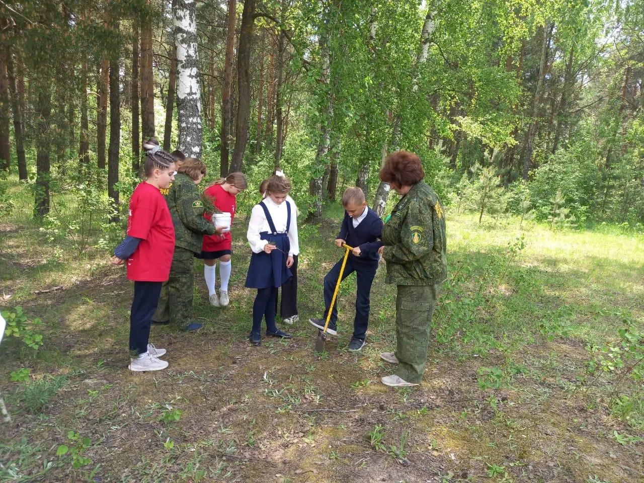 Фото: Комитет лесного хозяйства Московской области&nbsp;&nbsp;