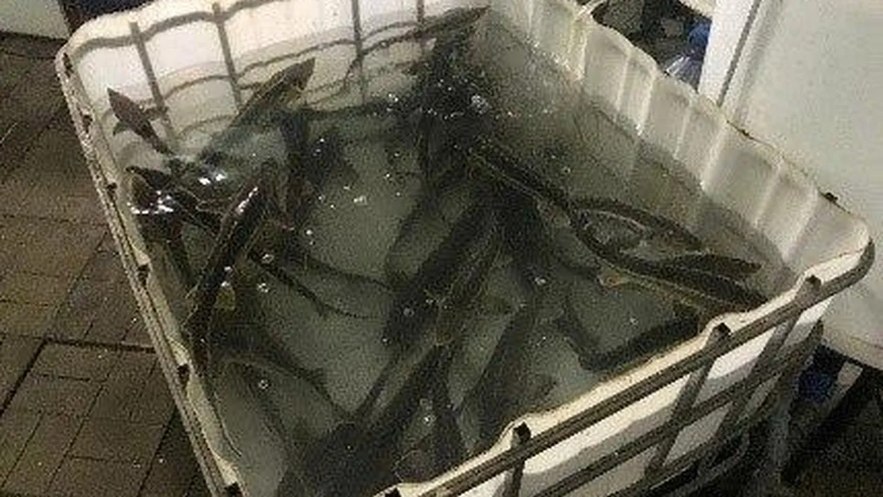 Фото: Пресс-служба Минсельхозпрод