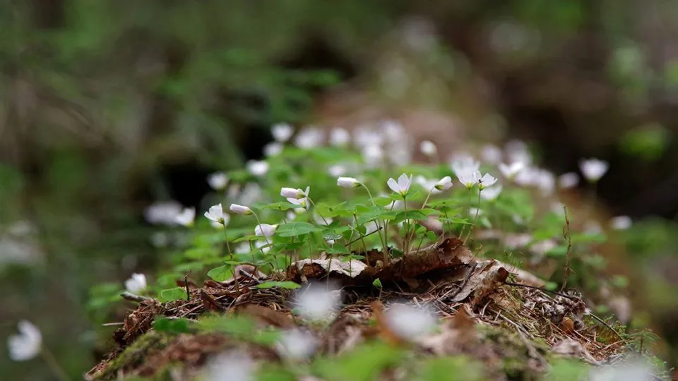 Фото: Ольга Калинина