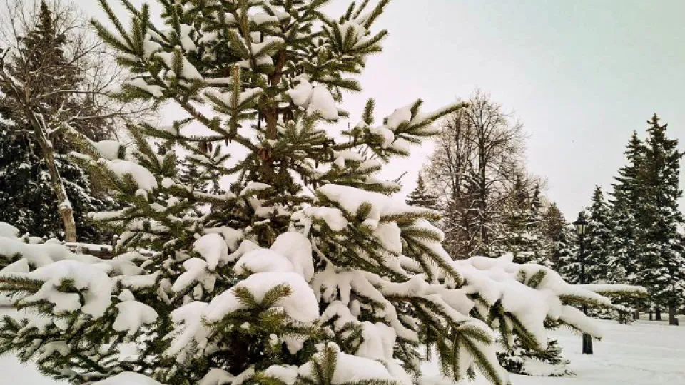 Фото: REGIONS/Юлия Габбасова