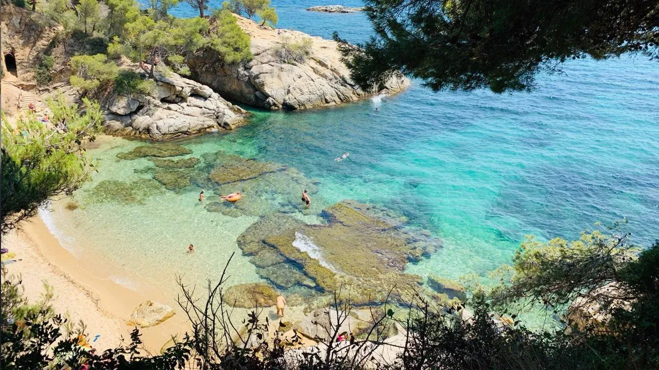 REGIONS/Илья Попов