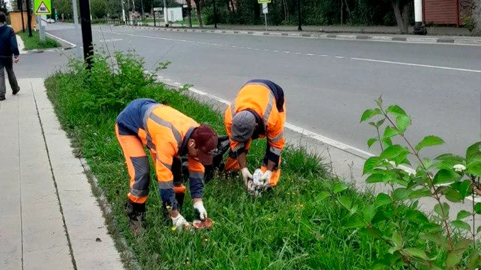 Фото: пресс-служба Администрации г.о. Долгопрудный