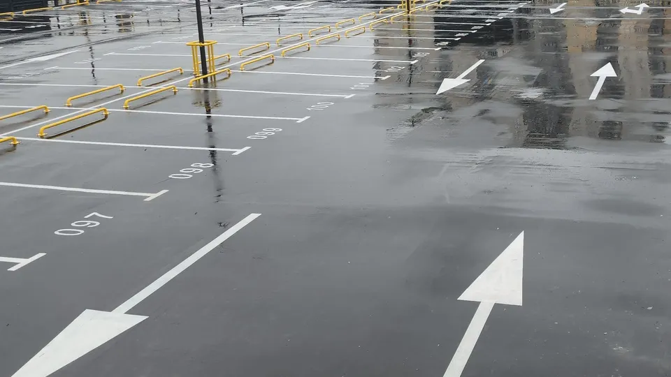 Фото: МедиаБанк Подмосковья/Кристина Ларина