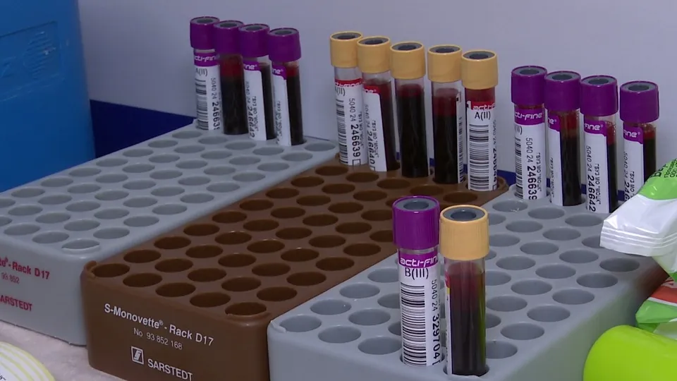 Фото: МедиаБанк Подмосковья/Ксения Казакова