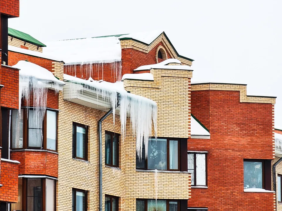 Фото: REGIONS/Мария Панина