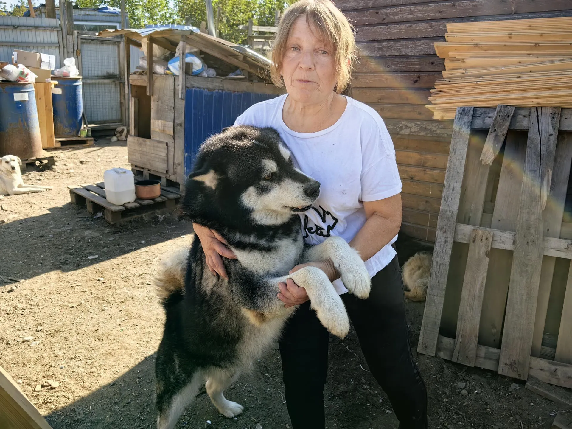 Елена Катасонова