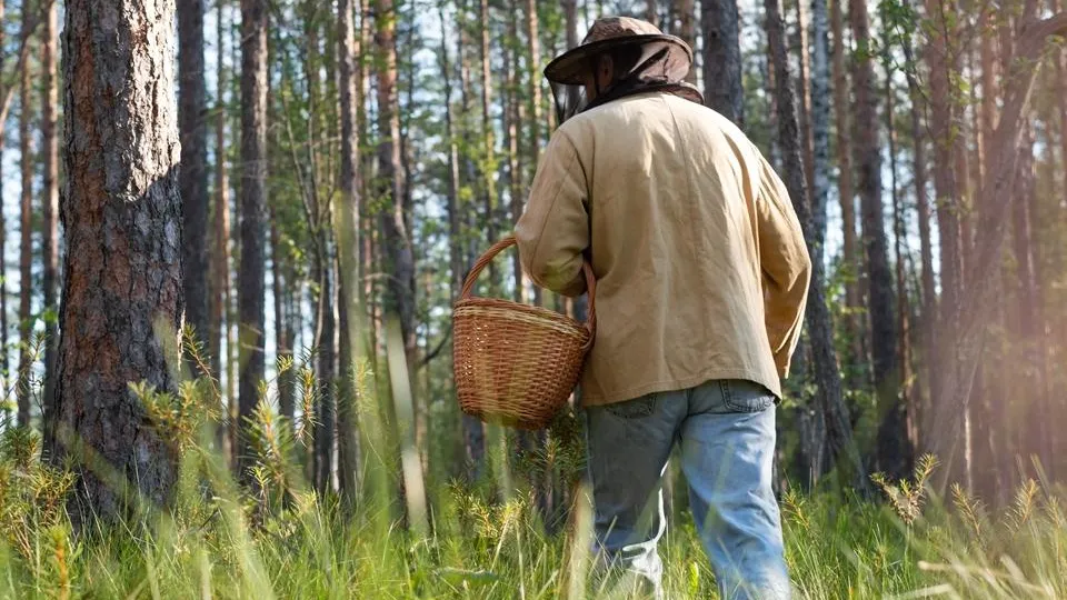 Фото: istockphoto.com/Koldunova_Anna