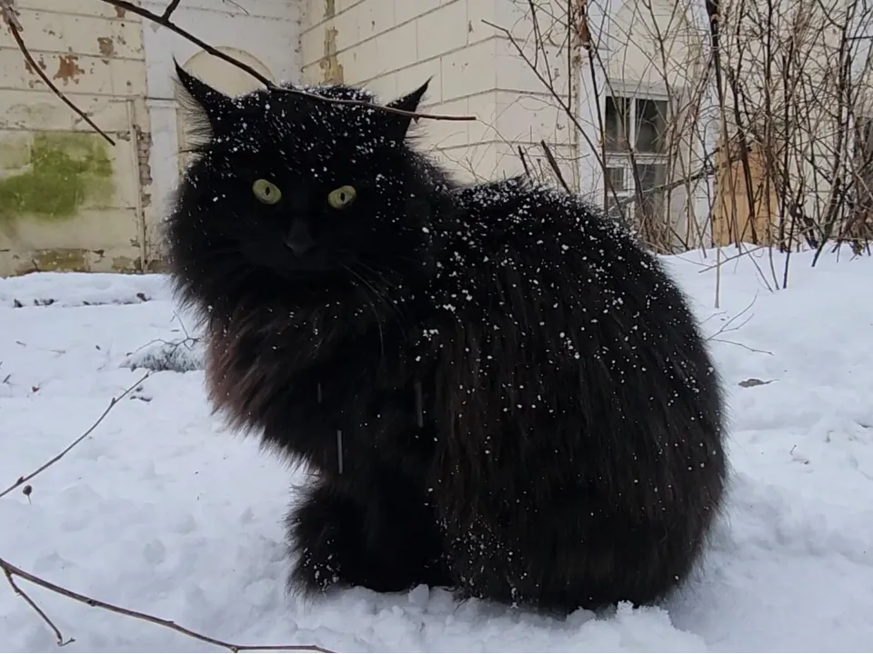 Фото: Ольга Антонова
