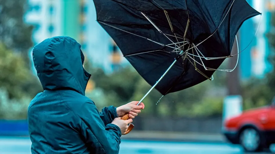 Фото: istockphoto.com/iiievgeniy