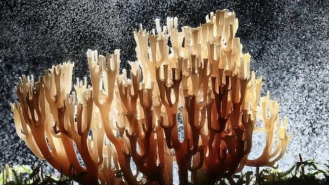 Фото: freepik.com