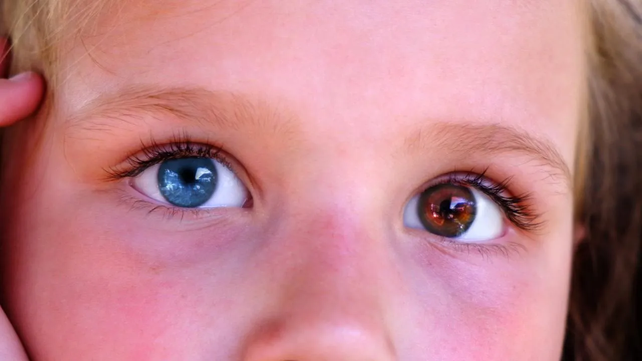 istockphoto.com/Elena Kurkutova