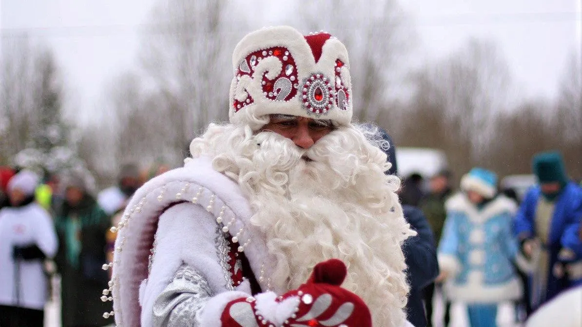Фото: пресс-служба Комитета лесного хозяйства Московской области