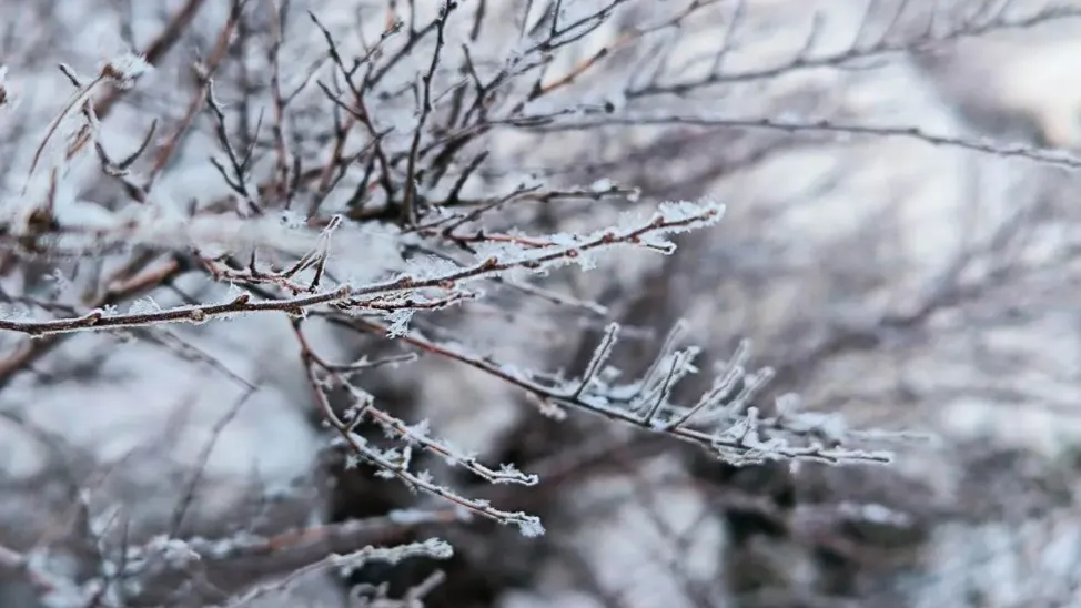 REGIONS/Роман Малышенко