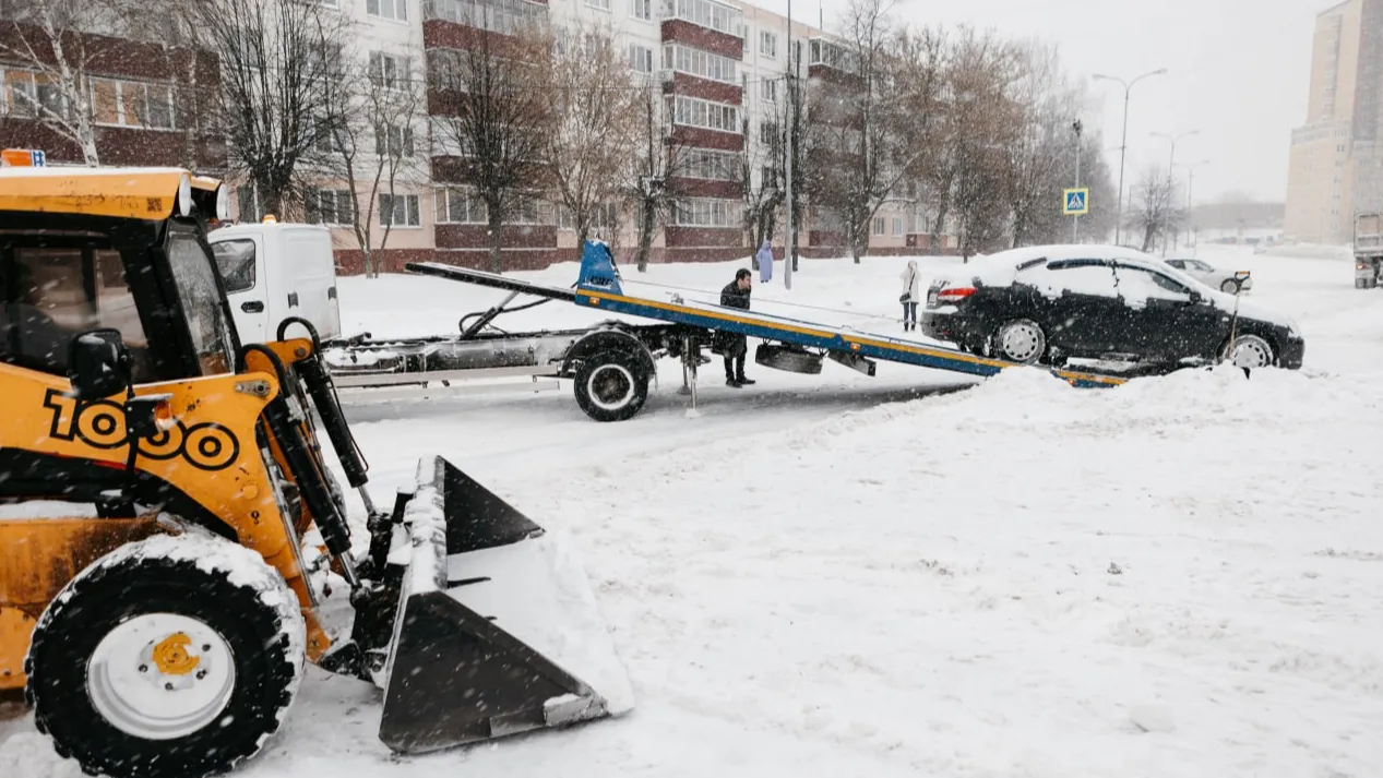 фото: Собакин Official / telegram, видео: Елена Лабзина