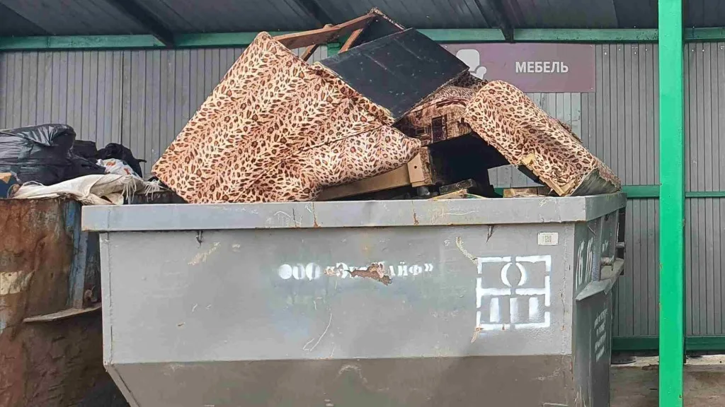 Фото: Наталия Надточая