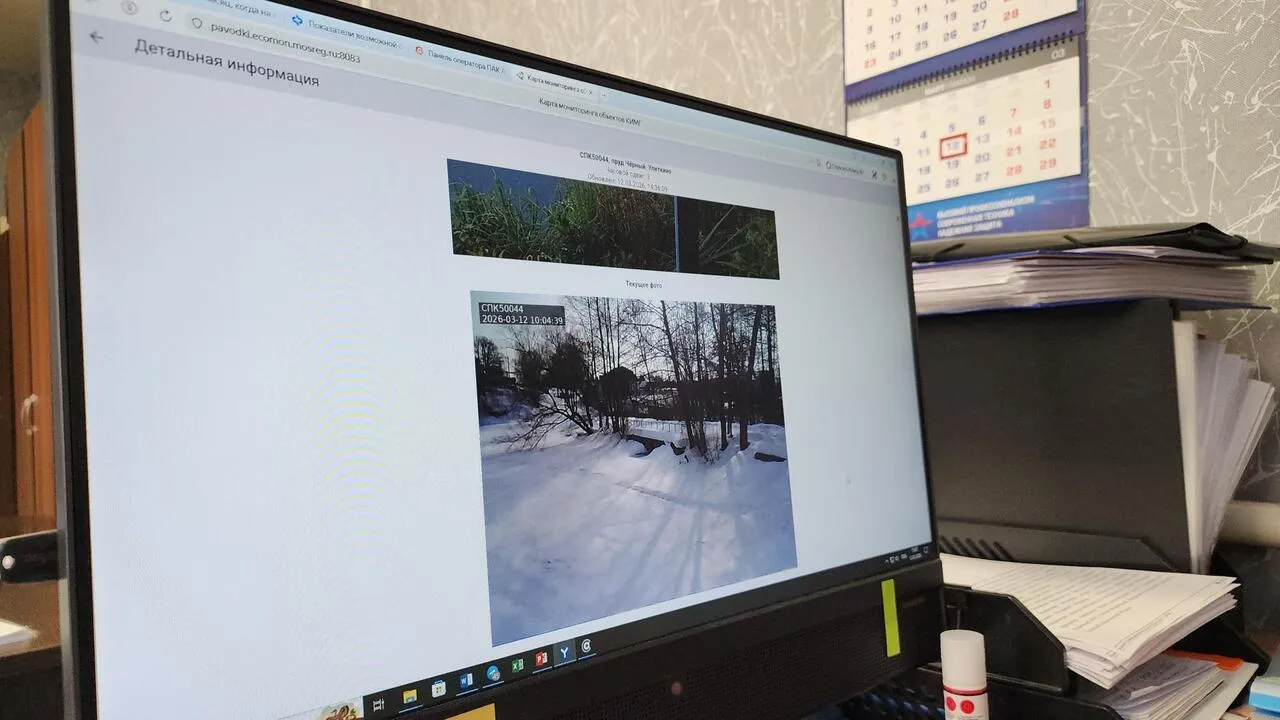 REGIONS/Валерия Тингаева