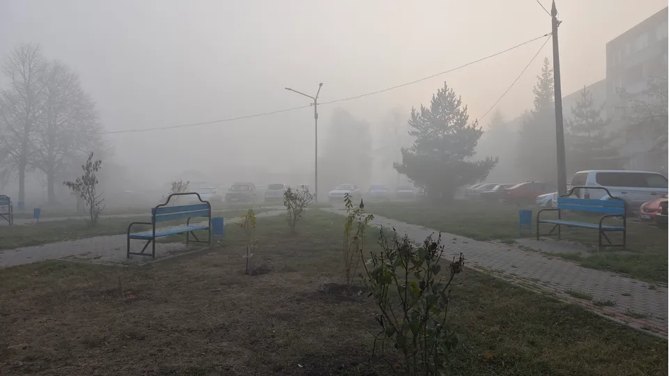 Фото: REGIONS/Дарья Кургузова