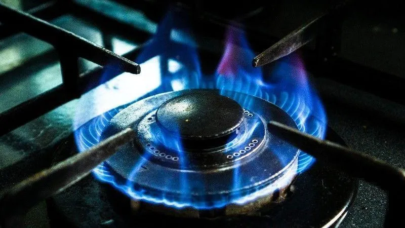 Восемьсот пятьдесят населенных пунктов газифицировали в Подмосковье по программе президента