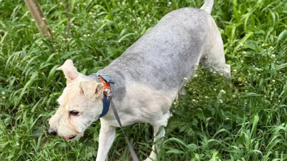 Фото: Виолетта Горбачева