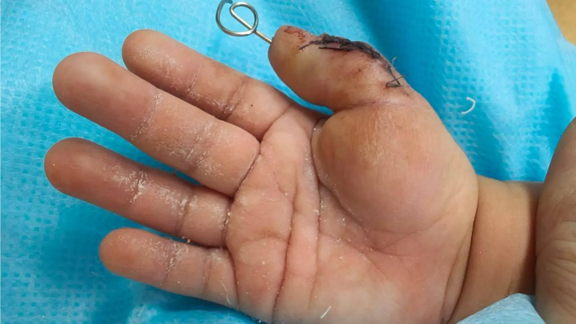 Фото: МОДКТОБ