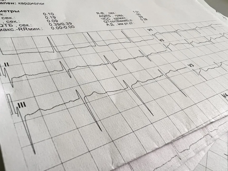 Фото: Ирина Мальцева