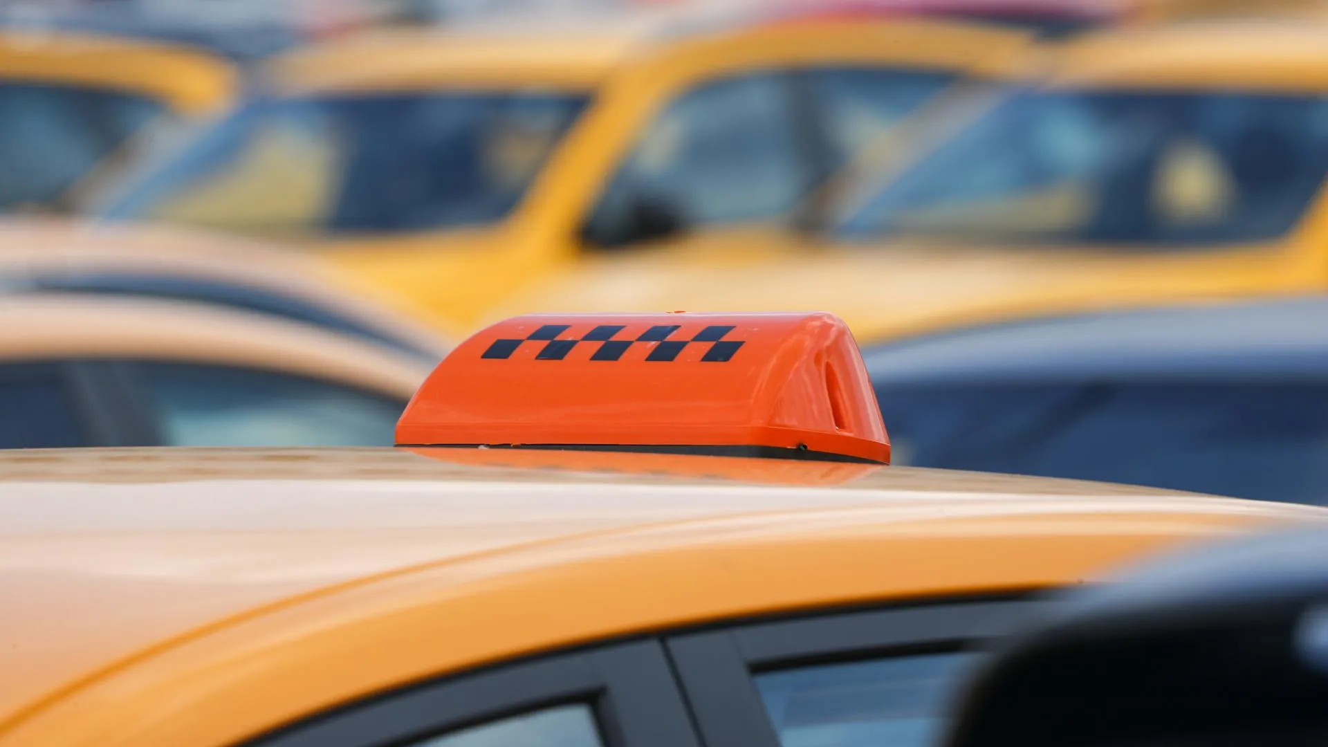 Belkin Alexey/news.ru