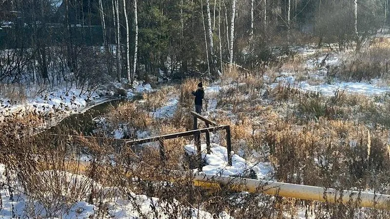 М. Сизов, Минэкологии МО