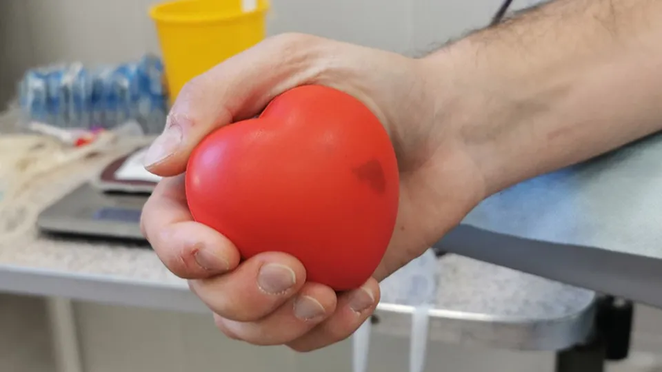 Фото: Медиаархив Подмосковья/Евгений Лавряшин