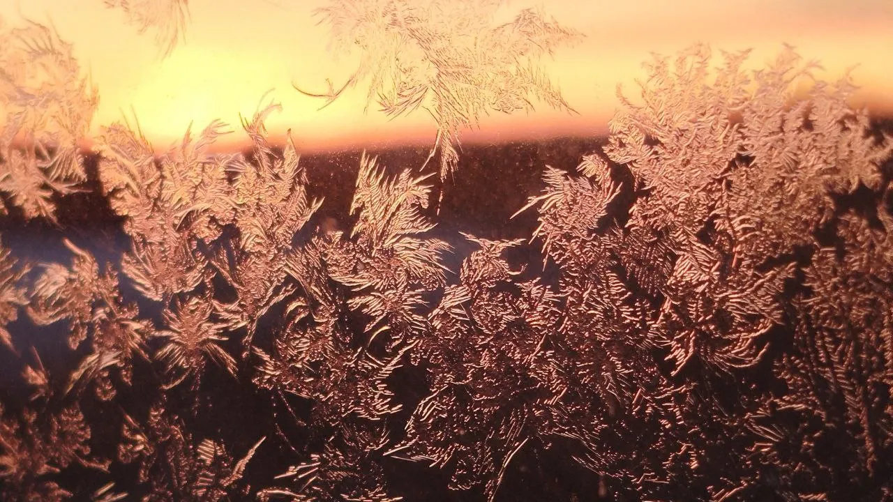 REGIONS/Юлия Куделькина