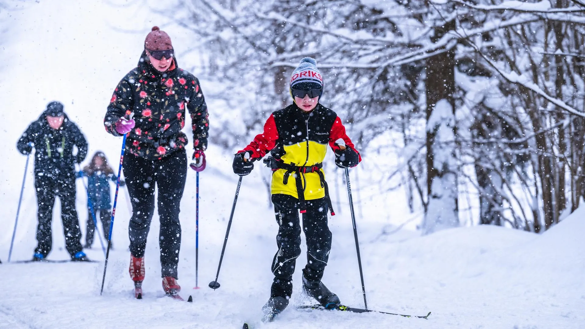 В подмосковных парках организуют фестивали и спортивные мероприятия