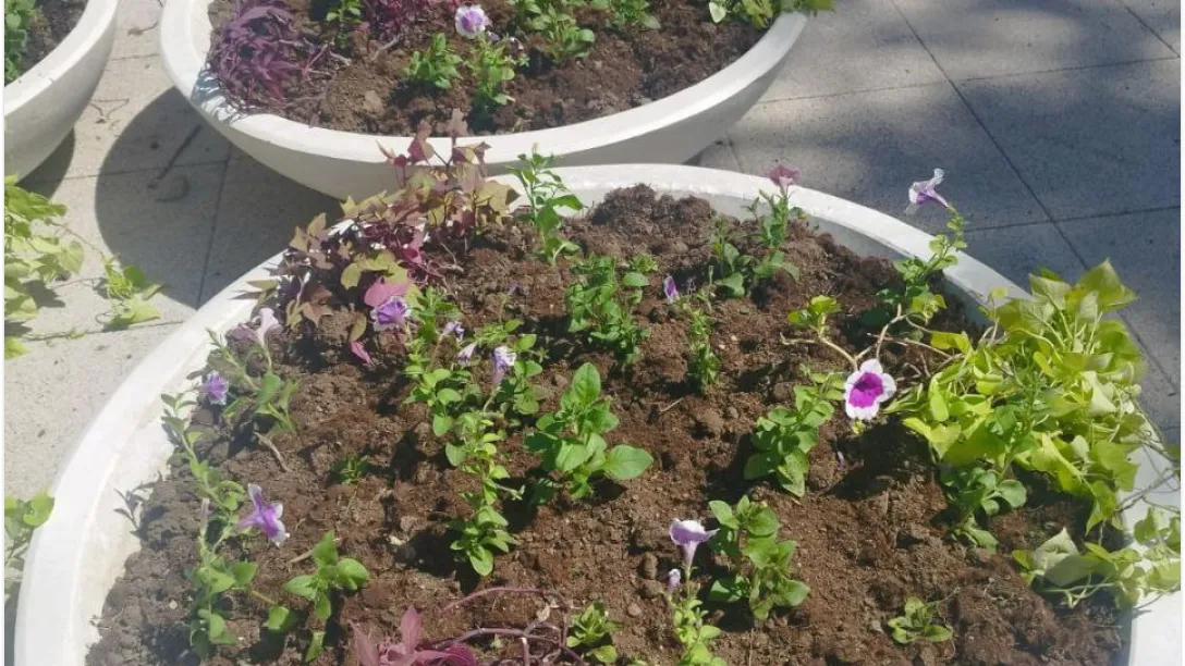 Фото: соцсети