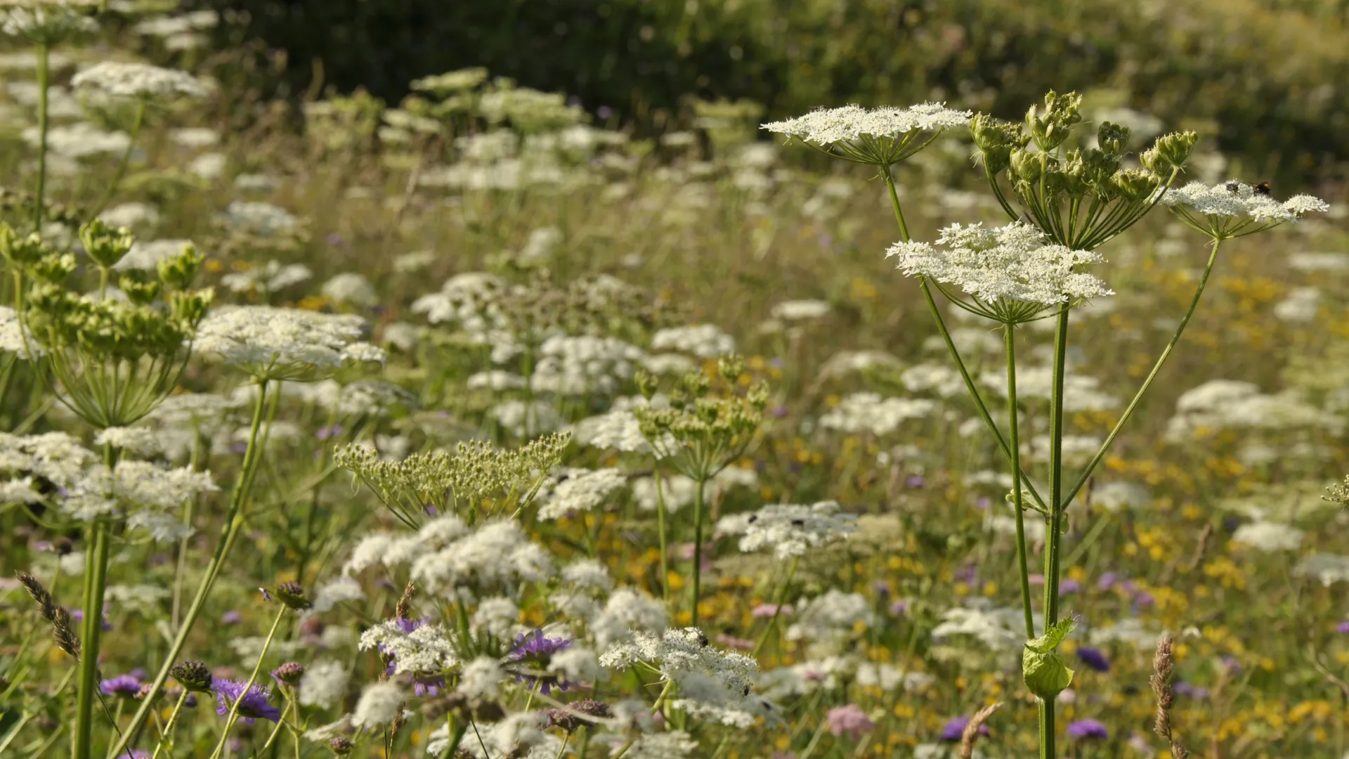 Фото: pxhere.com