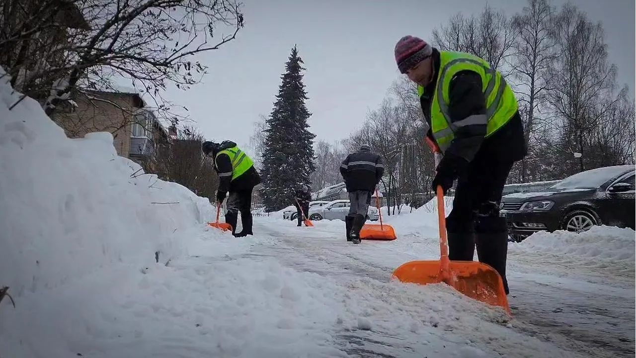 МедиаБанк Подмосковья/Ольга Антонова