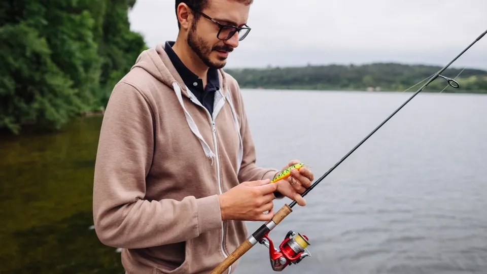 Фото: freepik.com