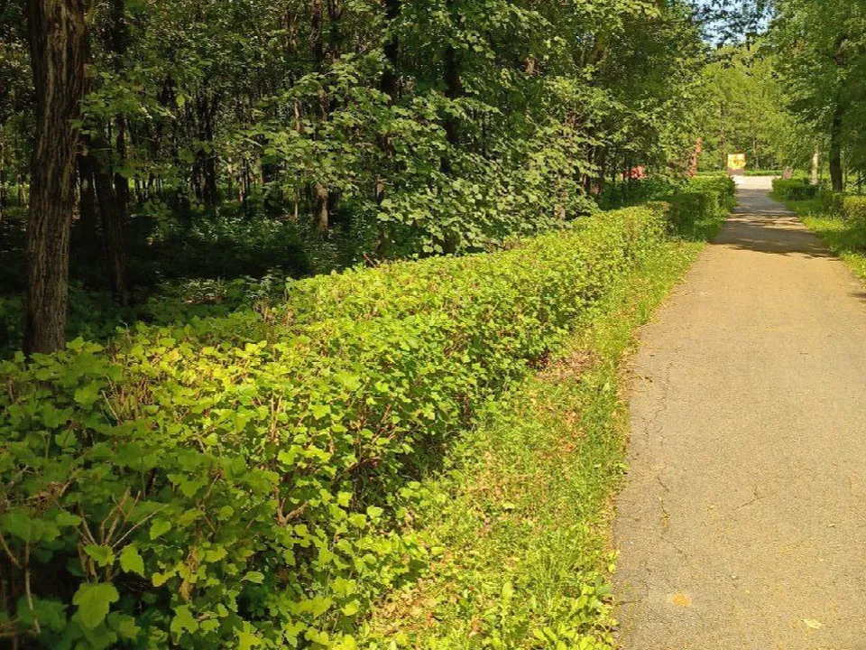 Фото: пресс-служба Администрации г.о. Коломна