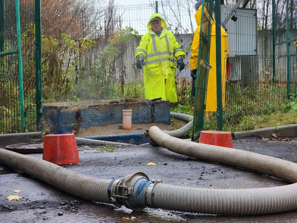Фото: МедиаБанк Подмосковья/Ксения Пашуто