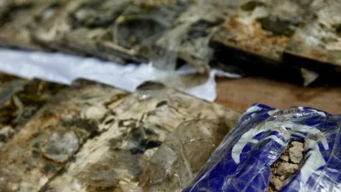 Жителя северной столицы с 2 кг гашиша задержали в Клинском районе
