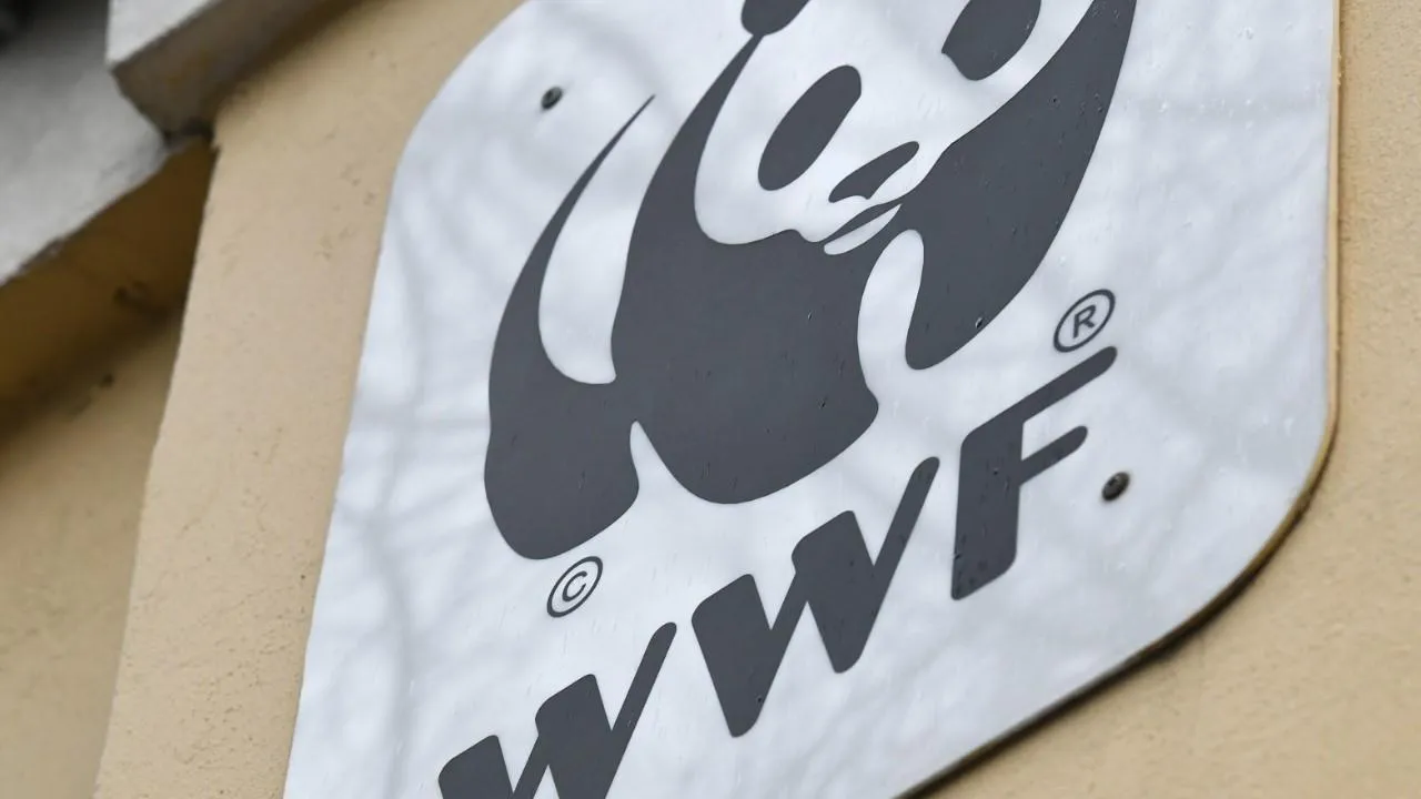 Минюст РФ внес WWF* в перечень нежелательных организаций