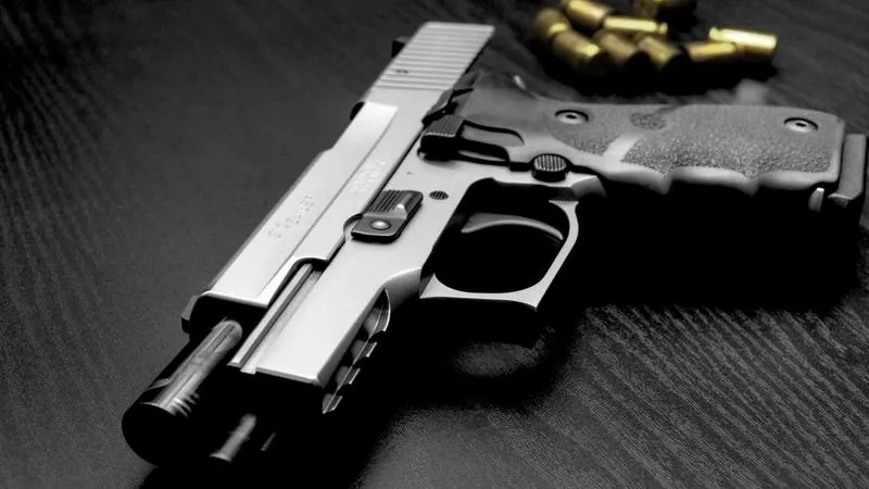 Арсенал оружия с пистолетами и боеприпасами хранил в доме житель Каширы