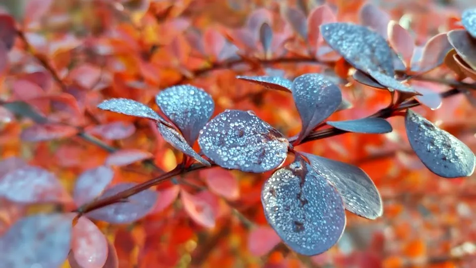 Фото: REGIONS/Алексей Селиверстов