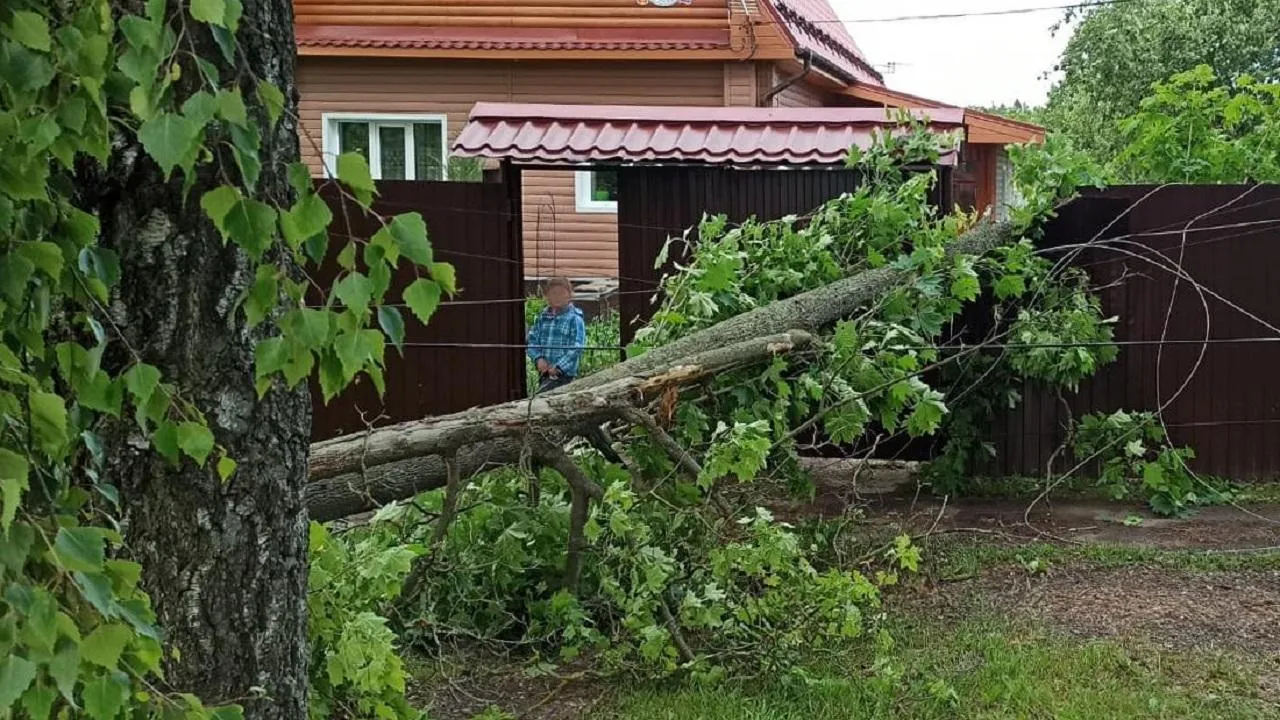 Спасатели освободили двор частного дома в Подмосковье от поваленного сильным ветром дерева