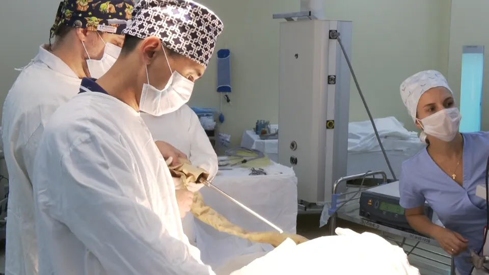 Фото: пресс-служба администрации г.о. Дубна