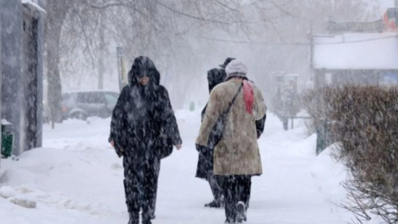 Фото: медиасток.рф