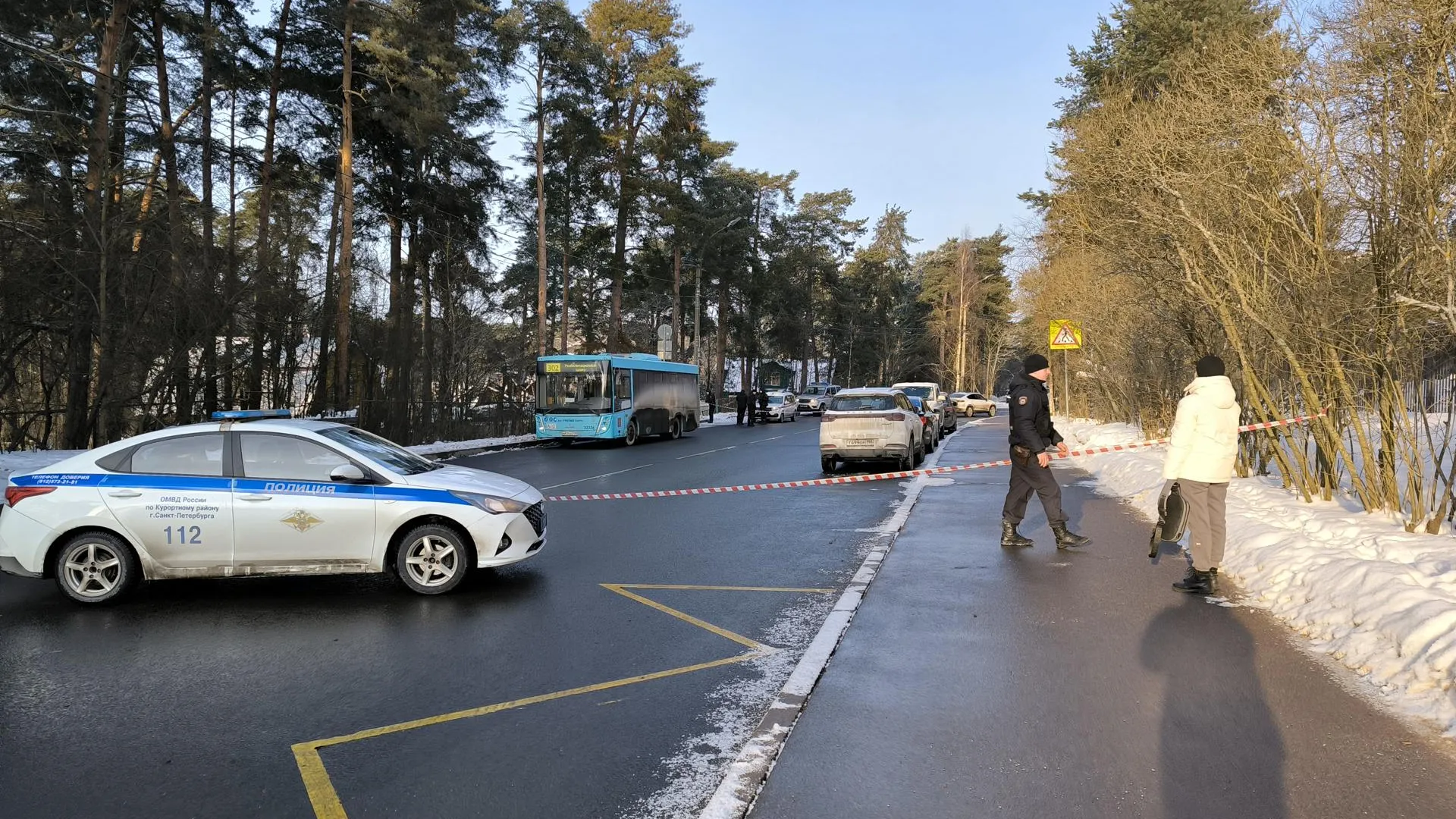 Чат-Сестрорецк