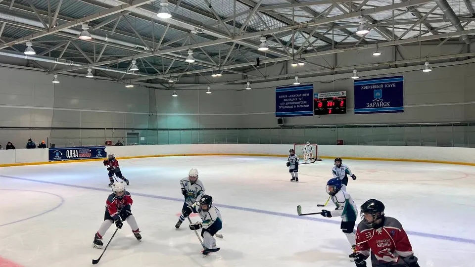 Фото: vk.com/МБУ ДО Спортивная школа по хоккею «Зарайск»