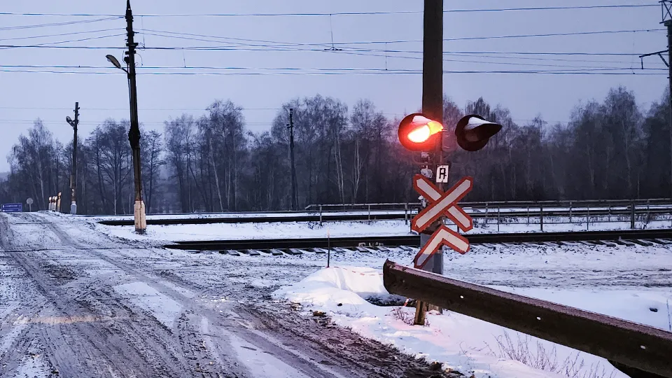 Фото: МедиаБанк Подмосковья/Андрей Семибратов